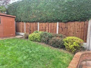 FB_IMG_1771477865731