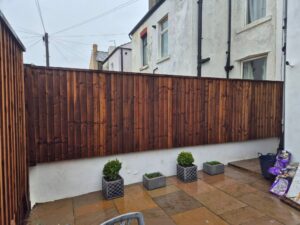 FB_IMG_1771482101266